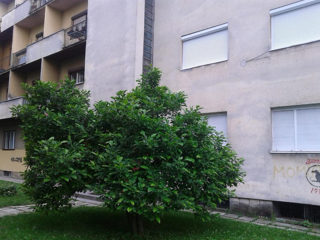Apartment Ma 2 , 3 Rd Floor バニャ・ルカ エクステリア 写真